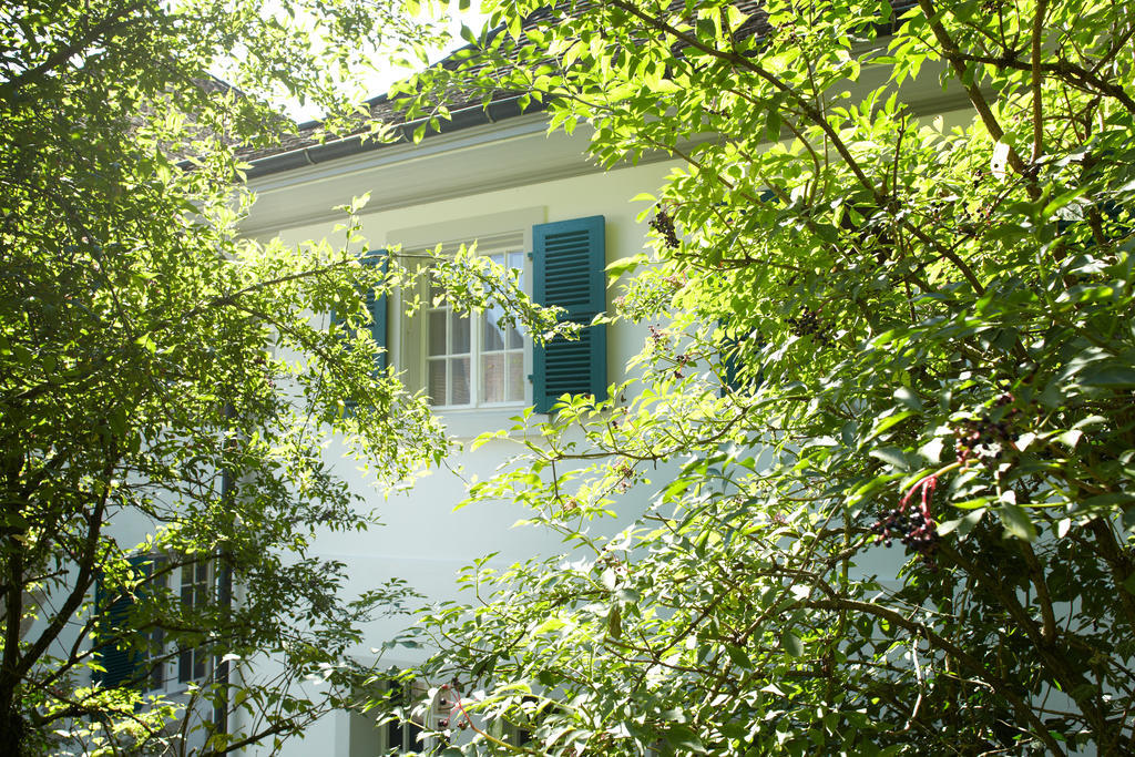Chateau Attisholz Riedholz Pokój zdjęcie